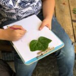 معماری با طبیعت - معمار کوچک - 5